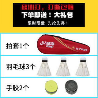 红双喜羽毛球拍双拍对拍2支装全碳素正品超轻成人耐用耐打儿童抖音碳纤维进攻型单拍羽毛球套装 E430蓝色+红色