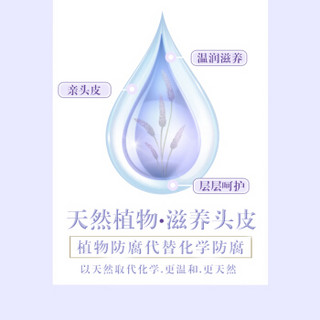 香鉴洗发水护发素沐浴露润肤乳套装薰衣草青柠天然香氛洗头膏液香水味男女士留香久丽衍馥枫酒店 薰衣草(洗发水580ml+护发乳580ml)