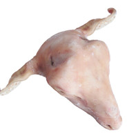 杞乐康 宁夏滩羊 羊肉 生鲜 新鲜羊头4斤左右带羊舌  生羊头 羔羊头带皮 酱羊头 火锅食材