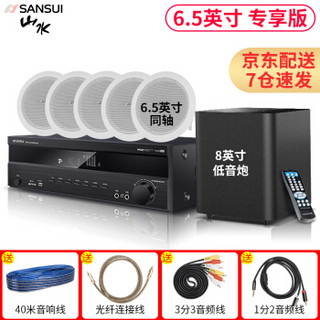 山水（SANSUI）T2 吸顶音响喇叭 5.1家庭影院音响套装 背景音乐客厅 吊顶喇叭 音箱功放家用 6.5英寸吸顶喇叭