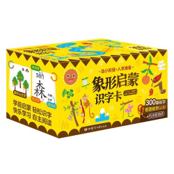 《乐乐趣 象形启蒙识字卡》带拼音 300张 