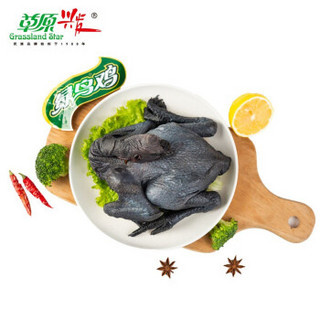 草原兴发 绿鸟乌骨鸡700g（含美味骨汤包)新鲜冷冻鸡肉 乌鸡 草原农家散养 国家地标保护产品 清真 红色