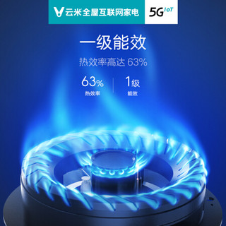 云米（VIOMI）燃气灶嵌入式家用灶具Power4.2 1C KW大火力 圆形(标准版) 钢化玻璃 双灶 JZY-VG205（液化气）