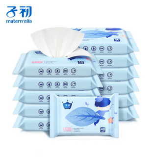 子初（Springbuds）湿厕纸 40抽x12包 擦除99.9%细菌 清洁湿纸巾湿巾