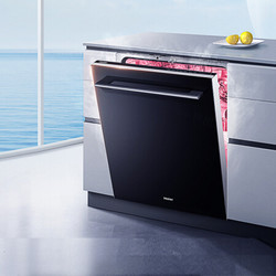 Haier 海尔 EYW13029D 嵌入式洗碗机 13套 黑色