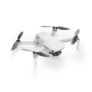 DJI 大疆 御Mavic系列 Mini 可折叠 四轴无人机 白色 畅飞套装+闪迪64G内存卡