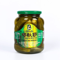 东知雪 俄罗斯酸黄瓜 670g