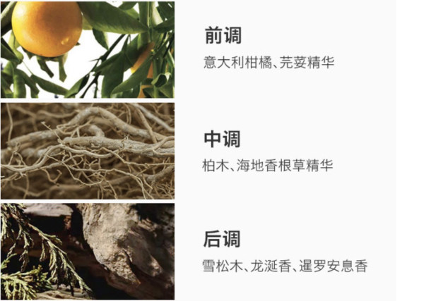 小编精选:让姑娘上头的男香不止大地!一篇了解宝格丽这些男士“撩妹香”
