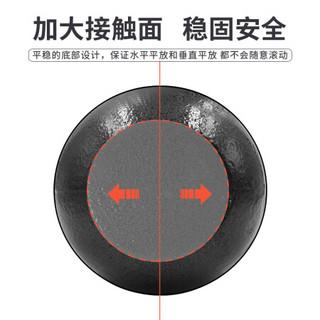 PROIRON 普力艾 铸铁壶铃男士提壶哑铃壶健身壶铃深蹲练臀器械壶铃球 12KG