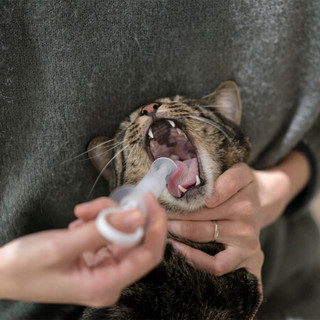 pidan宠物喂药器 猫咪狗狗喂水宠物干湿喂药器 驱虫喂药针筒 幼宠喂奶