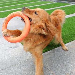 狗狗玩具户外互动磨牙耐咬拉力环玩具 橙色 大号185g