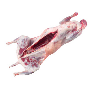 杞乐康 宁夏滩羊肉35斤左右礼盒装 全羊白条羊 烤全羊 火锅食材 新鲜整只羔