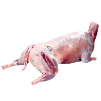 杞乐康 宁夏滩羊肉35斤左右礼盒装 全羊白条羊 烤全羊 火锅食材 新鲜整只羔