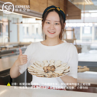 2020新鲜松茸礼盒（S级 长度约5-7cm）1000g 香格里拉原产地空运直发