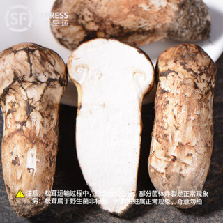 2020新鲜松茸礼盒（S级 长度约5-7cm）1000g 香格里拉原产地空运直发