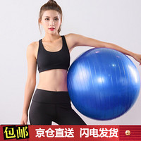 杜威克 瑜伽球55cm加厚防滑健身球防爆材质男女通用孕妇助产弹力球带打气筒 蓝色 瑜伽球 55cm