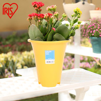 爱丽思IRIS 彩色创意长型花盆 简约时尚盆栽室内多肉小号塑料花盆