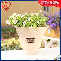 爱丽思IRIS 园艺壁挂圆形花盆加厚壁厚环保塑料盆栽可挂花盆7/8号