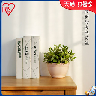 IRIS 爱丽思 多肉植物花盆室内树脂塑料彩色圆型简约创意磨砂花盆