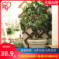 IRIS 爱丽思 仿陶瓷特大号凸纹圆形树脂加厚塑料花盆阳台落地种树爱丽丝