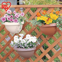 IRIS 爱丽思 壁挂树脂加厚花盆悬挂式吊篮绿萝多肉吊花盆爱丽丝挂墙上盆