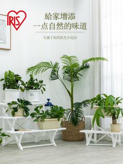 爱丽思日本阳台种菜盆支架花盆塑料花架三层露台台阶阳台置物架 报价价格评测怎么样 什么值得买