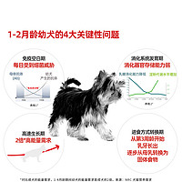 ROYAL CANIN 皇家 奶糕小奶罐 小型犬狗粮 1kg