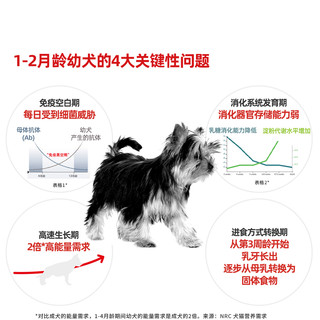 ROYAL CANIN 皇家 奶糕小奶罐 小型犬狗粮 1kg
