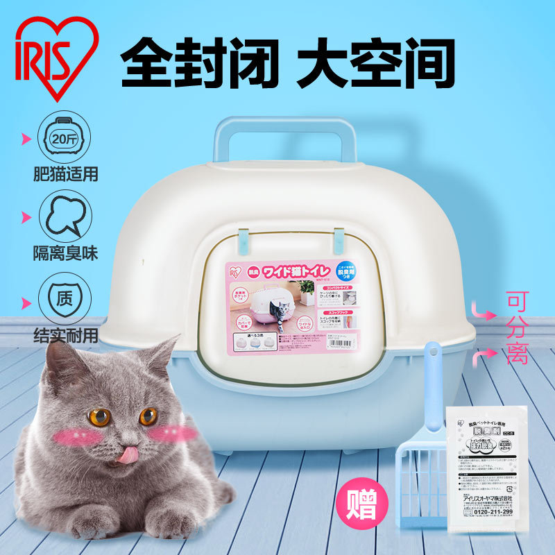 新手养猫该为猫猫准备什么呢？（附平替产品）