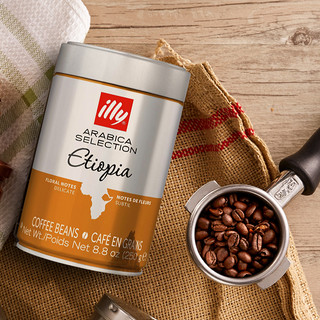 illy 意利 阿拉比卡精选 埃塞俄比亚 轻度烘焙 咖啡豆 250g