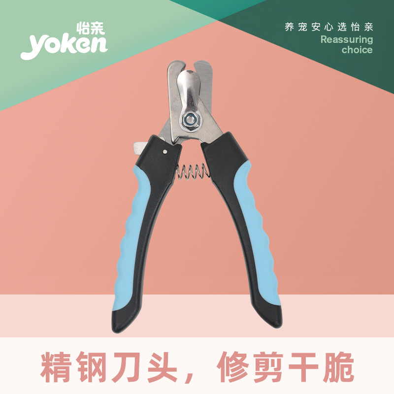 新手养猫该为猫猫准备什么呢?(附平替产品)