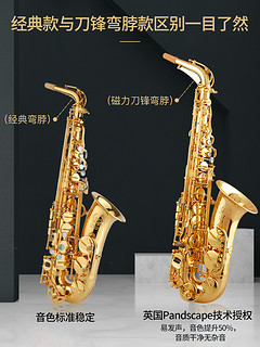 美德威降E调中音萨克斯风儿童初学者大众西洋管乐器大全saxophone