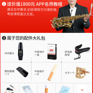美德威降E调中音萨克斯风儿童初学者大众西洋管乐器大全saxophone