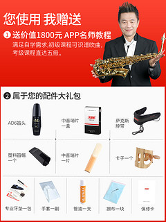 美德威降E调中音萨克斯风儿童初学者大众西洋管乐器大全saxophone