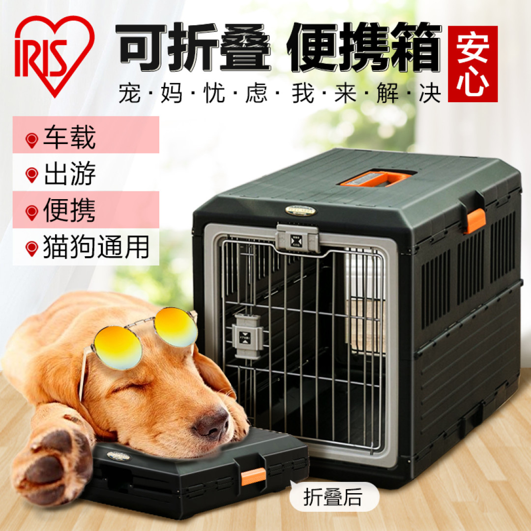 新手养猫该为猫猫准备什么呢?(附平替产品)