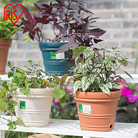 IRIS 爱丽思 特大号彩色花盆爱丽丝凸纹种树带托盘大口径深型塑料厚花盆