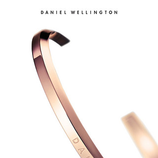 Daniel Wellington Danielwellington丹尼尔惠灵顿 dw手镯女 男士金色简约 情侣手环