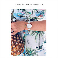 Daniel Wellington dw手表女 PETITE系列优雅皮质圆表