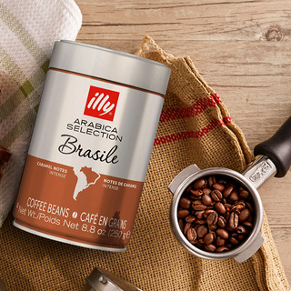 illy 意利 精选单品咖啡豆单一产区阿拉比卡豆250g双罐共500g