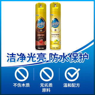 碧丽珠皮革护理剂330ml+家具护理喷蜡330ml实木木质保养滋养家用