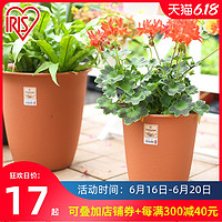 爱丽思IRIS 园艺绿植室内圆形大号简约环保塑料仿陶瓷花盆高盆