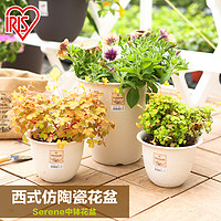 爱丽思IRIS 加厚花盆现代简约圆形环保塑料时尚室内落地肉肉花盆