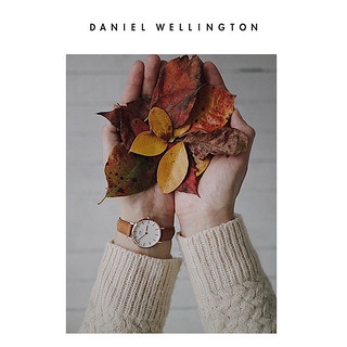 Daniel Wellington Danielwellington 简约 28mm女士皮革表带 ins风欧美女表dw手表女