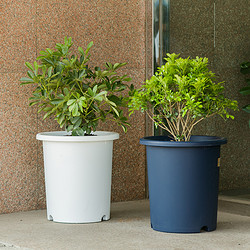 爱丽思园艺用品_iris 爱丽思 deepot深型 圆形花盆多少钱-什么值得买