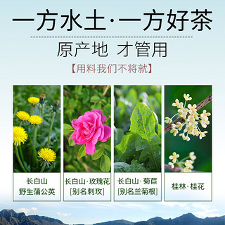 蒲公英菊苣玫瑰茶 硕参赤玫茶 苦菊苣黄桂茶黄花苗玉兰苦苣刺玫茶