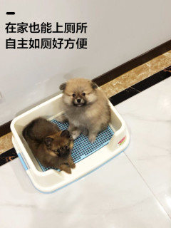爱丽思狗狗厕所便便器宠物便盆尿尿盆小型犬爱丽丝泰迪用品狗厕所中号带围栏trt500 茶色 报价价格评测怎么样 什么值得买 爱丽思狗狗厕所便便器宠物便盆尿尿盆小型犬爱丽丝泰迪用品狗厕所中号带围栏trt500 茶色 报价价格评测怎么样 什么值得买