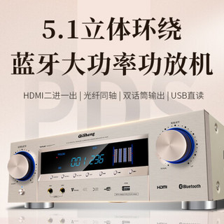 奇声（QISHENG）AV-115 家庭影院套装5.1大功率功放机AV校园广播会议音响无线话筒组合 1609高清旗舰版