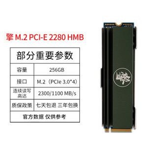 影驰 M.2 NVME 240480256G512G1TB SSD PCIE通道台式机电脑固态硬盘 擎M.2256G