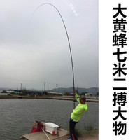 【京JD仓次日达】蜂王 大黄蜂28调鱼竿碳素超轻硬台钓竿鲫鲤鱼竿草青钓鱼竿黑坑竞技手竿鱼线钓竿渔具 (综合款28调)大黄蜂4.8米+原装竿梢
