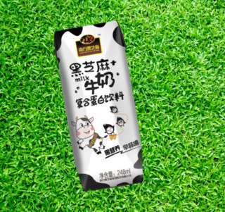 NANFANG BLACK SESAME 南方黑芝麻 黑芝麻+牛奶 复合蛋白饮料 248ml*16瓶